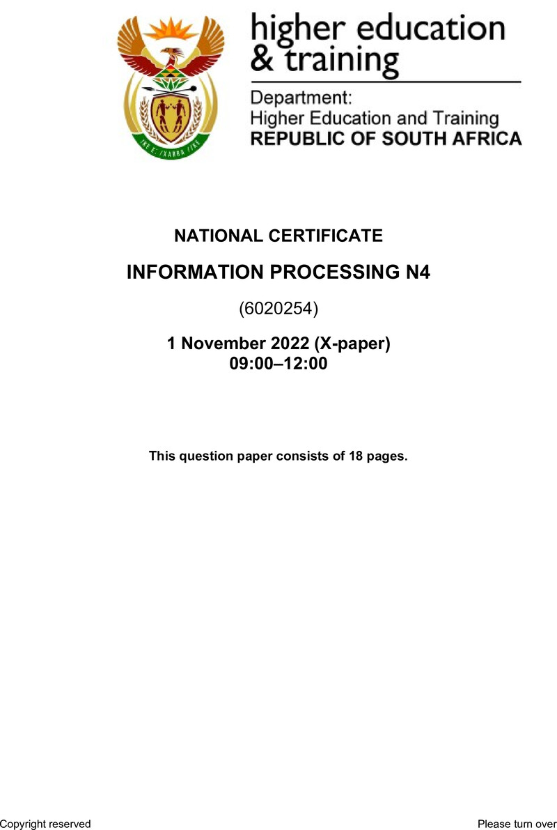 Information Processing N4 QP Nov 2022