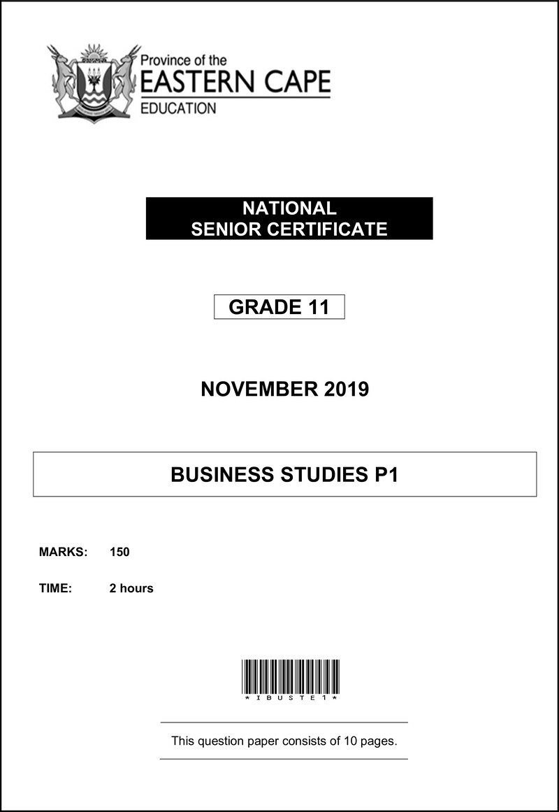 Grade 11 Business Studies past paper 2019 – business std p1 qp nov 2019 eng d