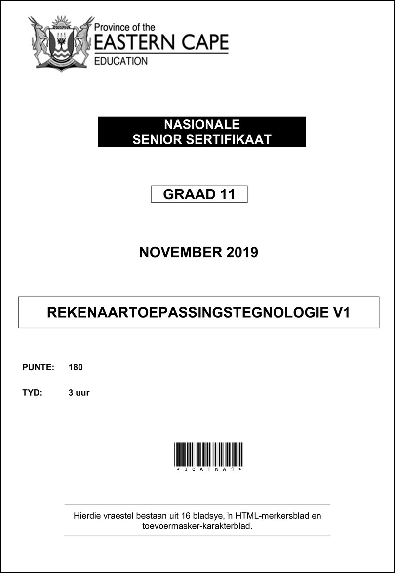 Cat P1 QP Gr11 Nov 2019 Afrik