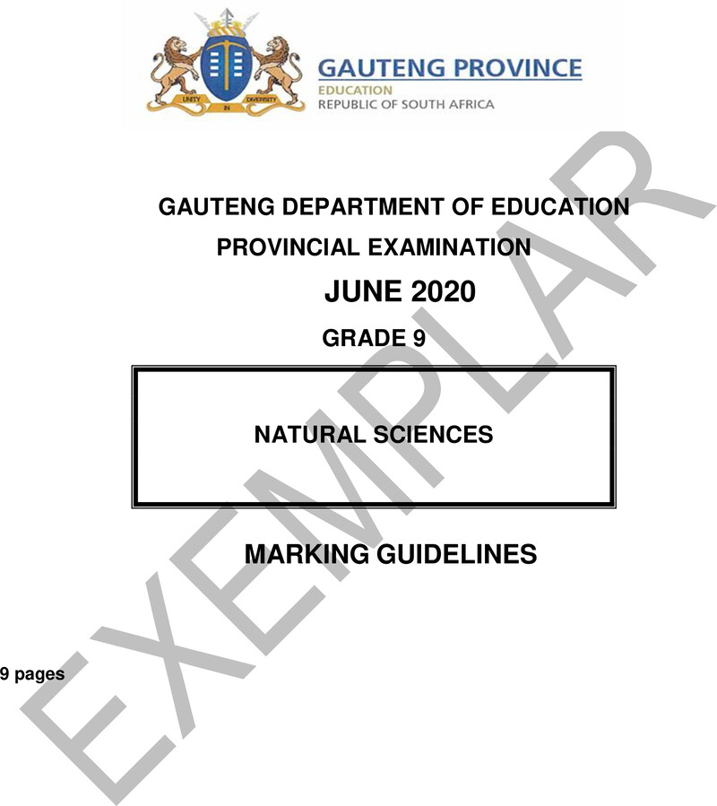Grade 9 Provincial Exam Natural Sciences Ng 2020 Exemplars Possible Answers